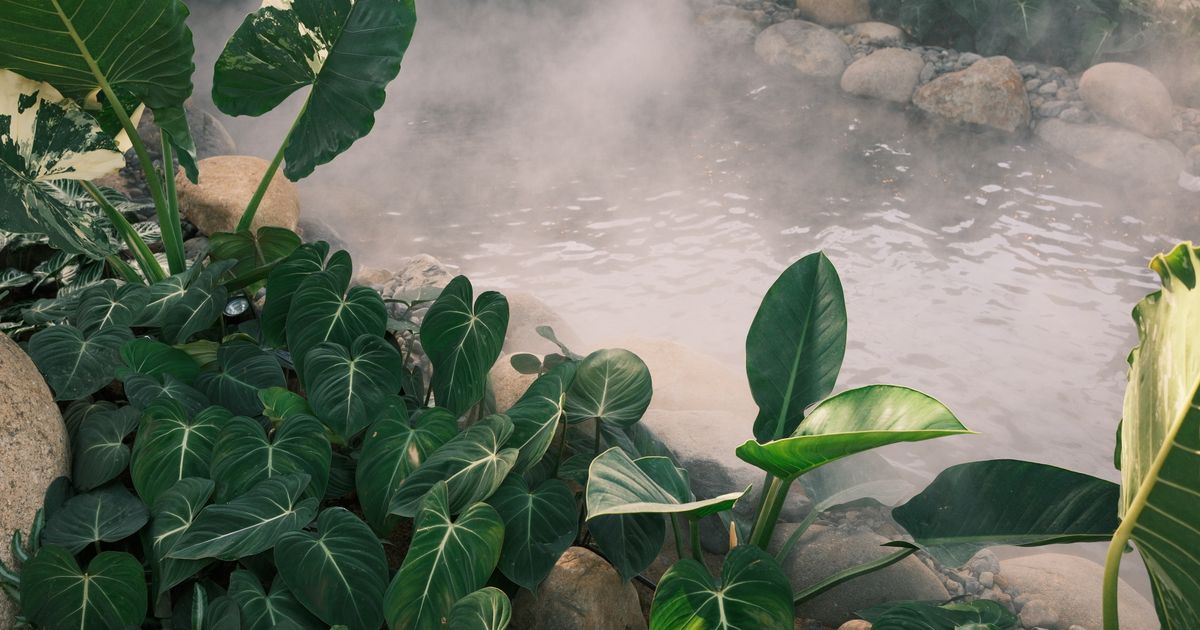 How Much Does Outdoor Misting Cost? 2026 Pricing Guide